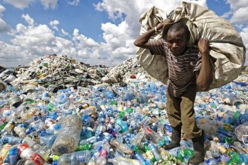 Un cours en ligne sur les stratégies de lutte contre la pollution plastique en Afrique