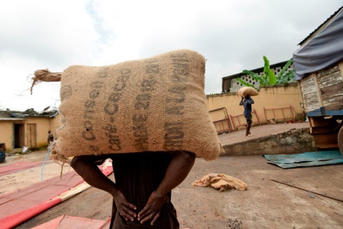 La Guinée, nouveau foyer de la contrebande de cacao en Afrique de l’Ouest